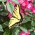 Outdoor Diva's profile image