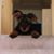 Suzanne Wurster's profile image