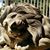 Carol Wiker's profile image
