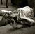 Pamela L Gonzales's profile image