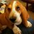 Lauren Matthews Graves's profile image