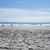 Jeanne Schuetz-Beck's profile image
