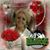 Lina LeBlanc's profile image