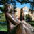 Betty Robbins's profile image