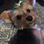 Vickie Smith Parker's profile image