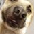 Michael Michlik's profile image