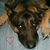 Connie Wilcox Pendleton's profile image