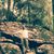 Lric Earson's profile image