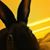 Kathryn Sennati's profile image