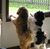 Barbara Riley's profile image