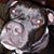 Dennis Freeman's profile image
