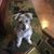 Donna Bramlett Farmer's profile image