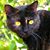 Ned Wilson's profile image