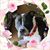 Cathy Hazlett Zupcic's profile image