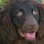 Pj Beck Page's profile image