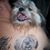 Jody Kerry's profile image