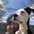 Travis Malott's profile image