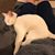 Molly Anderson's profile image