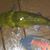 Jen Rankin Berryhill's profile image