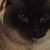 Debra Blay's profile image