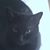 Stanley Podzielny's profile image