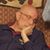 John P Mack Jr's profile image