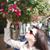 Lisa Olson's profile image