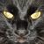 Lynn Day's profile image