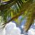 Kate Seiler Lafayette's profile image