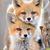Shane Kristie Rodgers Fox's profile image