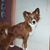 Judy Smith's profile image