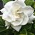 Andi Glickman's profile image