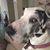 Richard Torento's profile image