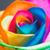 Cindy DelVecchio Sarcione's profile image