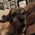 Michelle Turay Bushman's profile image