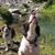 Liz Bohn's profile image