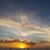 Shary TravelPro Tenorio's profile image