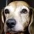 April Tucker's profile image