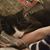 Cathy Christie Schroeder's profile image