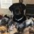 Adrienne Pacini Spencer's profile image