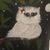 Yoly Perez's profile image
