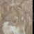 Donna Hawse's profile image
