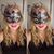 Stephanie Hann's profile image