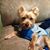 Hollye Gerdowsky's profile image