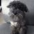 JpAnn Whitney's profile image