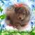 Carla Neuhausel's profile image