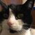 Bob Ayers's profile image