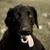 Janice McIntyre Irwin's profile image