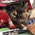 Tiffany Cuccina's profile image