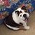 Wendy Hall McLouth's profile image